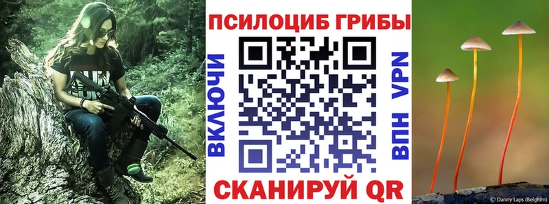 Купить где  Луза  Псилоцибиновые грибы прущие грибы 
